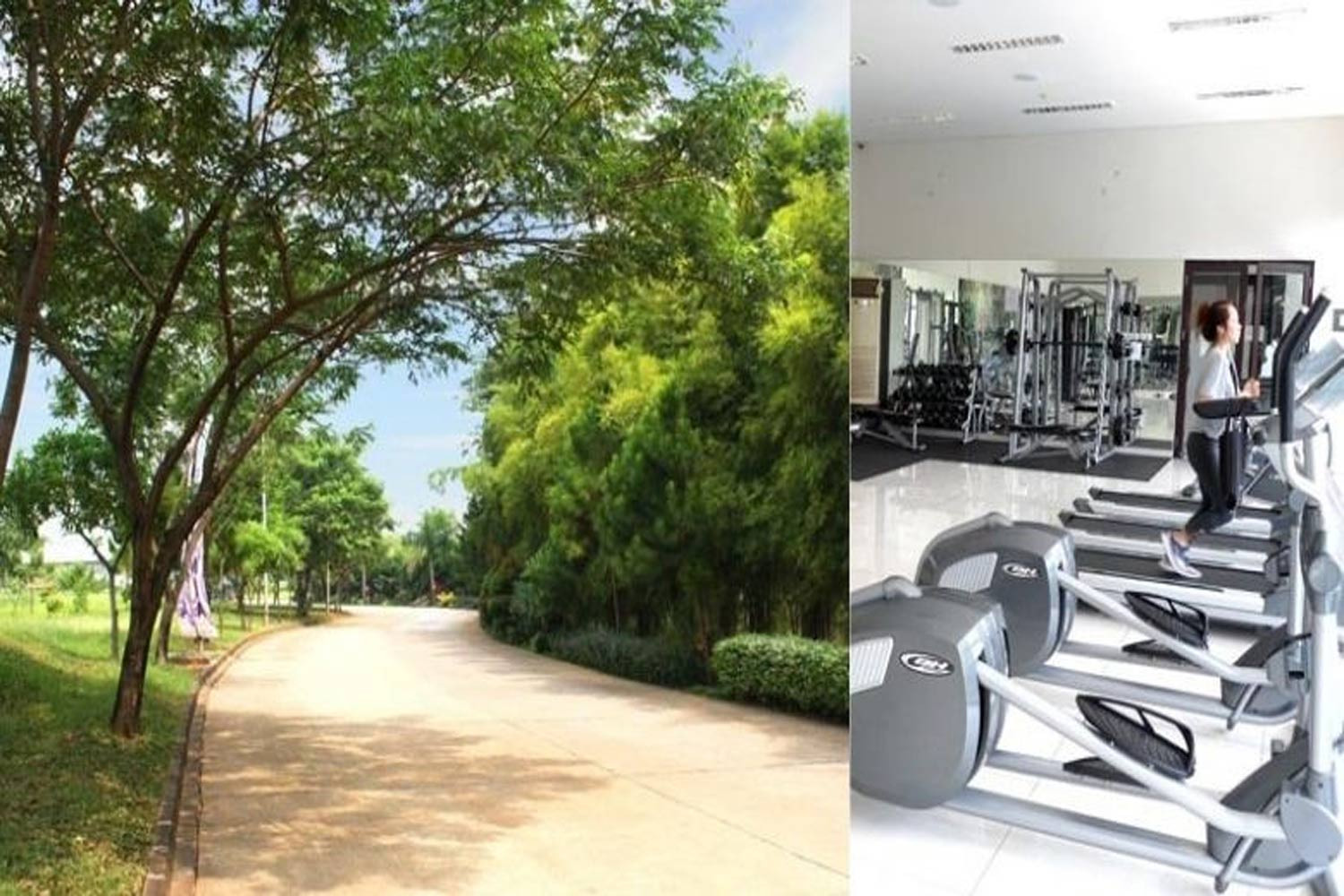 Jogging track & Gym