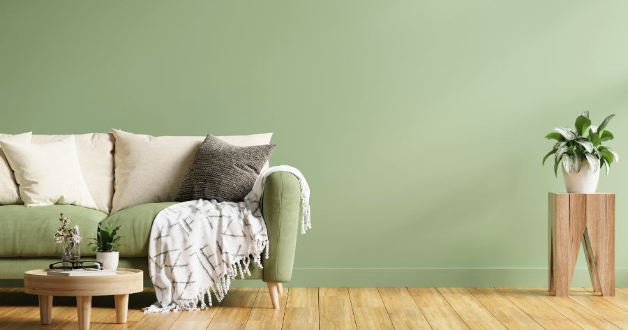 cat rumah warna hijau olive