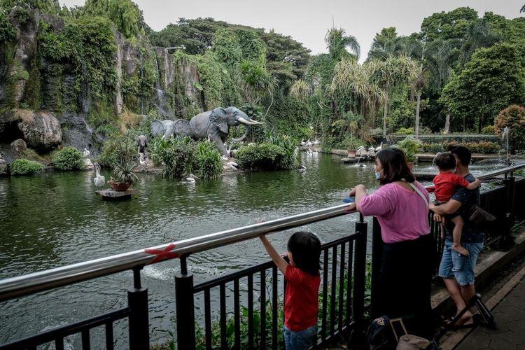 tempat bermain anak di jakarta: ragunan