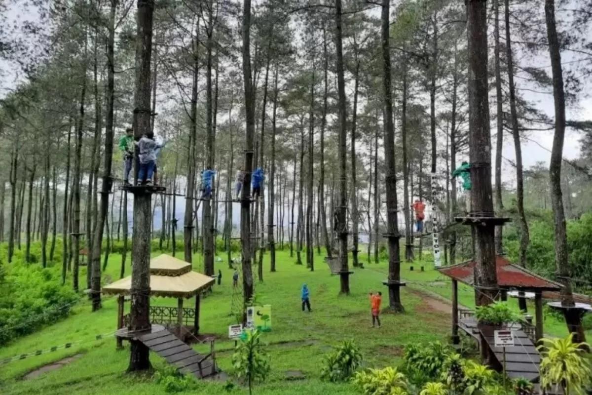 tempat trekking sentul: gunung pancar