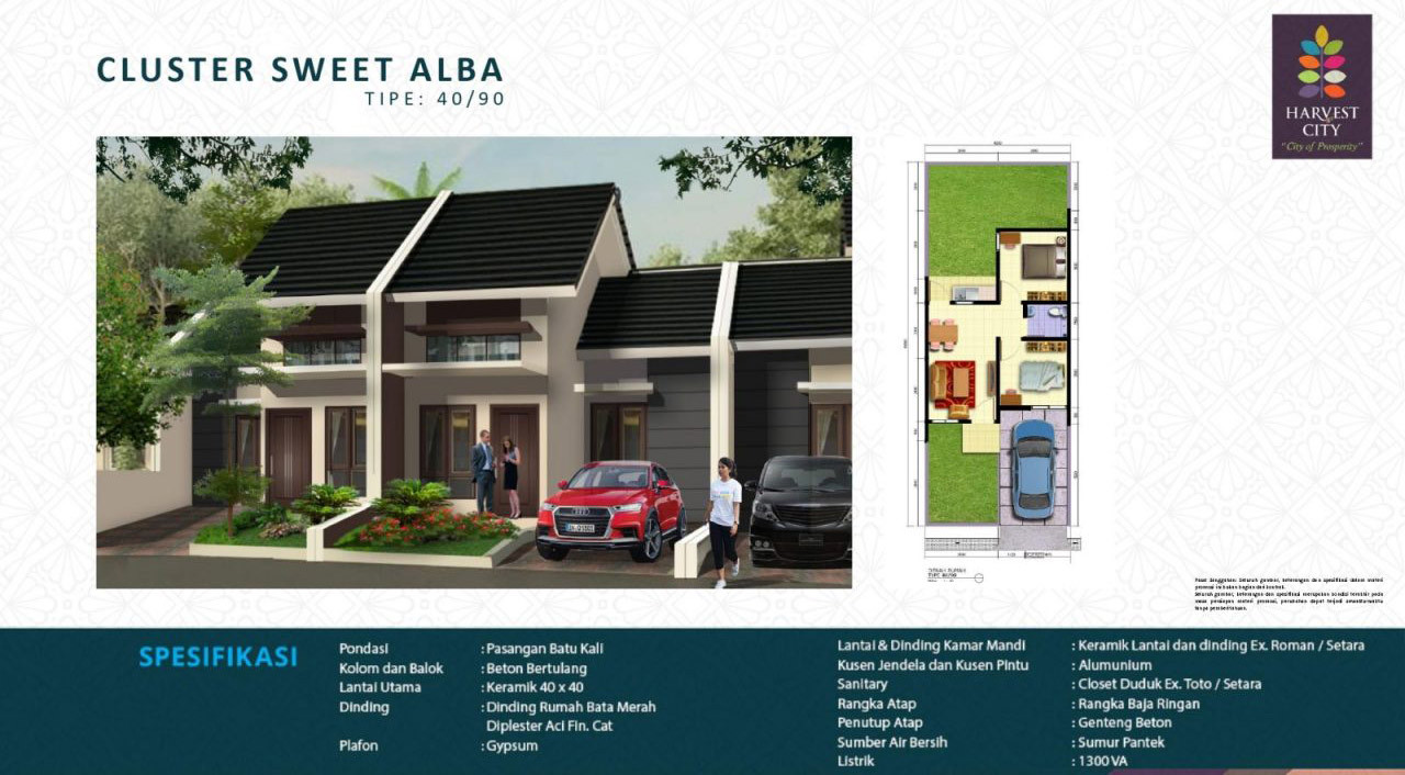 Sweet Alba Harvest City 40